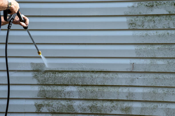 Affordable Siding Repair and Maintenance Services in Muse, PA